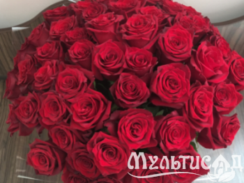 Дизайн без названия (27)